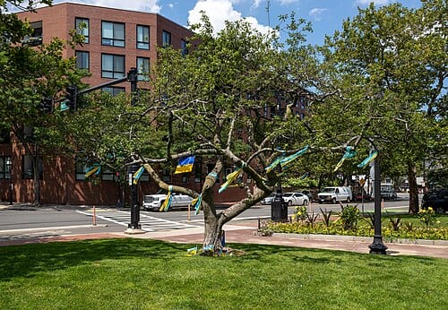 Messages of support for Ukraine, Christopher Columbus Park, North End District, Boston, Massachusetts, US (PPL1-Corrected)
