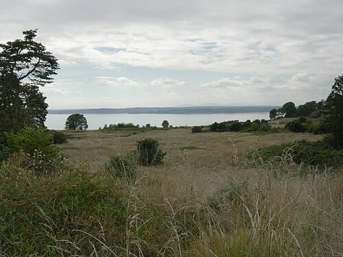 Discovery Park, Seattle, Washington. Looking across the south meadow to Puget Sound.