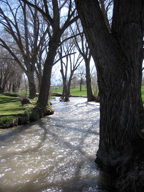 Photo of Sugar House Park