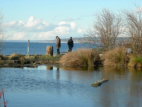 A narrow strip of land separates a marsh lake from the salt water of Shilshole Bay; Golden Gardens Park, Ballard, Seattle, Washington.