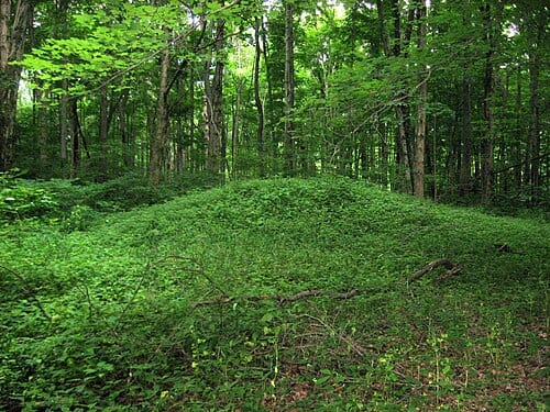 Northern side of the Orators Mound , located along the Inman Trail of Glen Helen Nature Preserve near Yellow Springs in Miami Township , Greene County , Ohio , United States . A work of the Adena culture , it was used as a podium for public speaking in the first decades after the arrival of white…