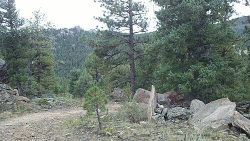 Mountain Muhly Trail, 3 Sisters