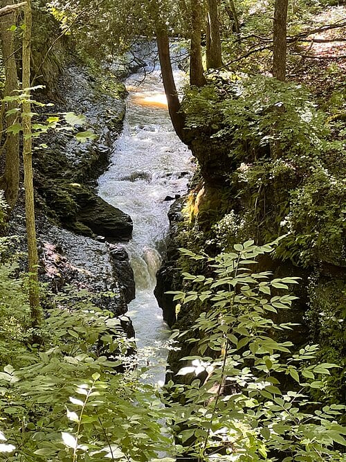 Water rushes through a narrow gorge in a lush green forest at Clifton Gorge National Natural Landmark Clifton Gorge National Natural Landmark in Ohio Keywords: Clifton Gorge National Natural Landmark; CLGO-OH; National Natural Landmark; Ohio; Earth Sculpting & Erosion; Forest