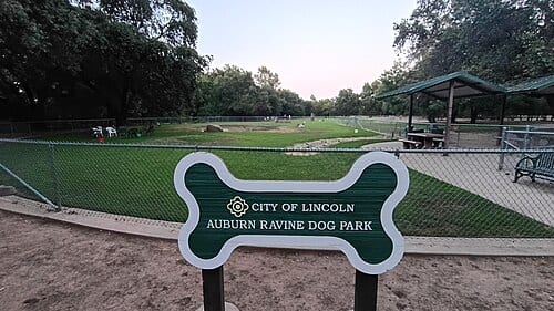 A fenced off-leash dog park found within Auburn Ravine Park. One area of the dog park is meant for small-breed dogs, the other larger side is meant for large breed dogs.