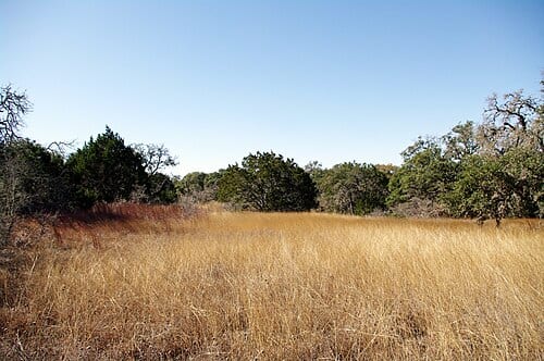 Hill Country State Natural Area, Texas
