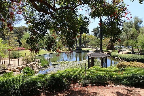 View of the pond and gazebo at Alice Keck Park Memorial Garden, Santa Barbara, California.