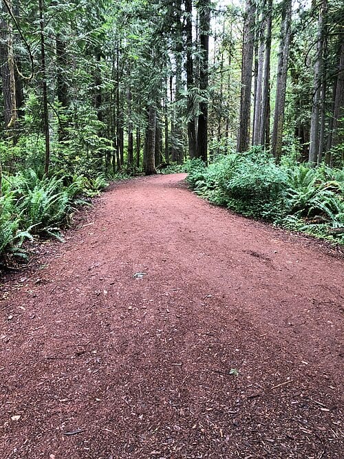 Beaver Lake Park, Sammamish, Washington