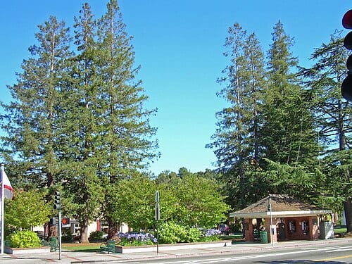 Los Gatos, California.