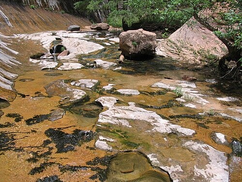 Slick Rocks in Zion Subway