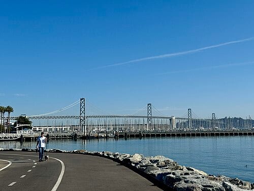 Bay Bridge from China Basin Park
