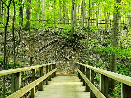 Woodlands trail in Holliday Park and Nature Center — in Indianapolis , Indiana. Spring forest foliage, in many of nature's shades of green colors. Serge Melki on park outing: "in all honesty, this park is very bland. green green and no colors."